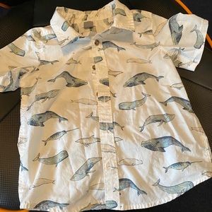 Boys button down shirt